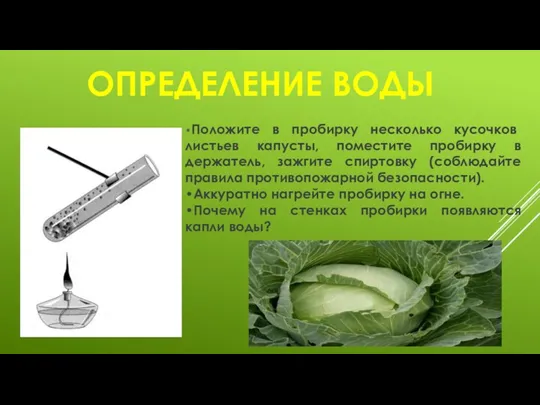 ОПРЕДЕЛЕНИЕ ВОДЫ •Положите в пробирку несколько кусочков листьев капусты, поместите