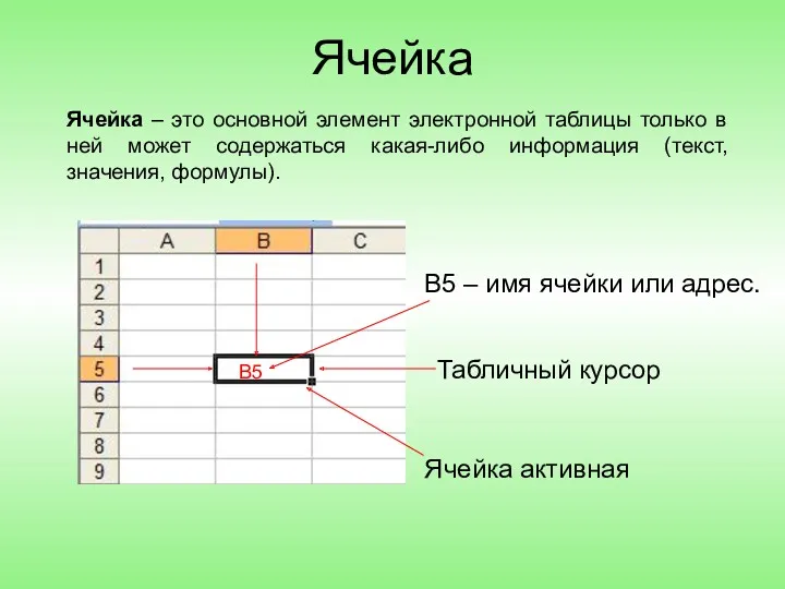 Ячейка Ячейка – это основной элемент электронной таблицы только в ней может содержаться