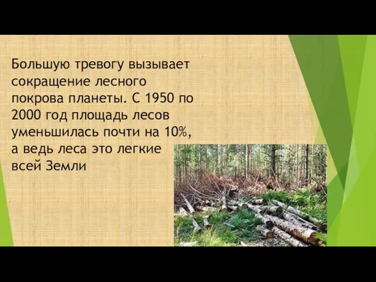 Большую тревогу вызывает сокращение лесного покрова планеты. С 1950 по