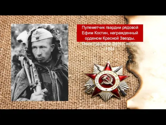 Пулеметчик гвардии рядовой Ефим Костин, награжденный орденом Красной Звезды. Ленинградский фронт. август 1944