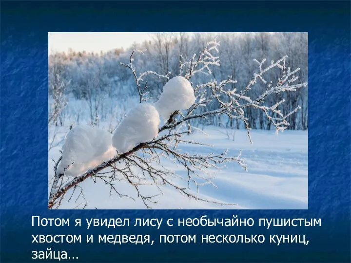 Потом я увидел лису с необычайно пушистым хвостом и медведя, потом несколько куниц, зайца…