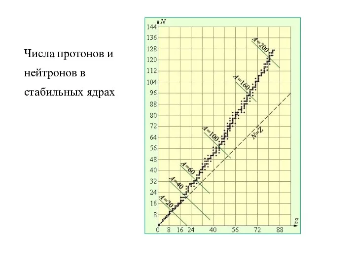 Числа протонов и нейтронов в стабильных ядрах