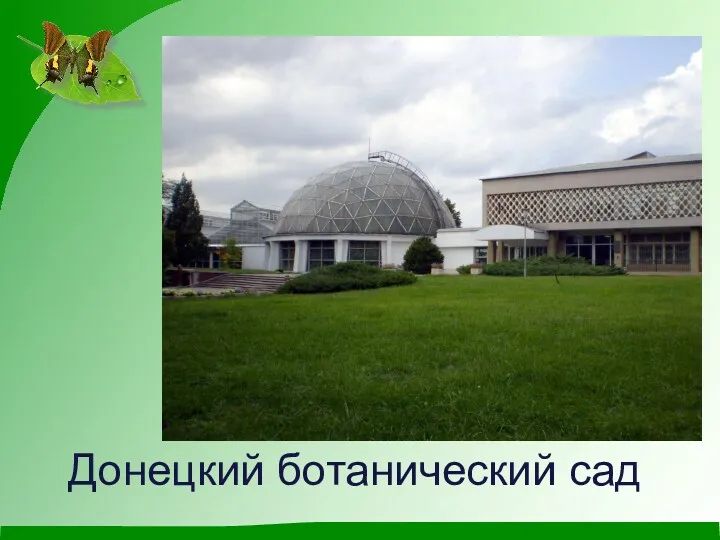 Донецкий ботанический сад