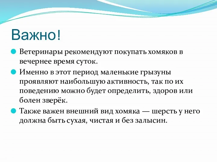 Важно! Ветеринары рекомендуют покупать хомяков в вечернее время суток. Именно