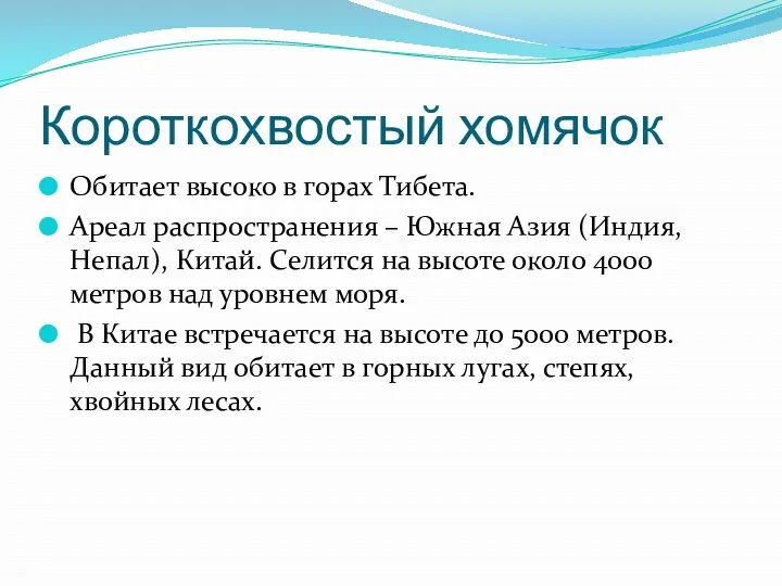 Короткохвостый хомячок Обитает высоко в горах Тибета. Ареал распространения –