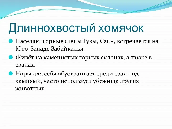 Длиннохвостый хомячок Населяет горные степы Тувы, Саян, встречается на Юго-Западе