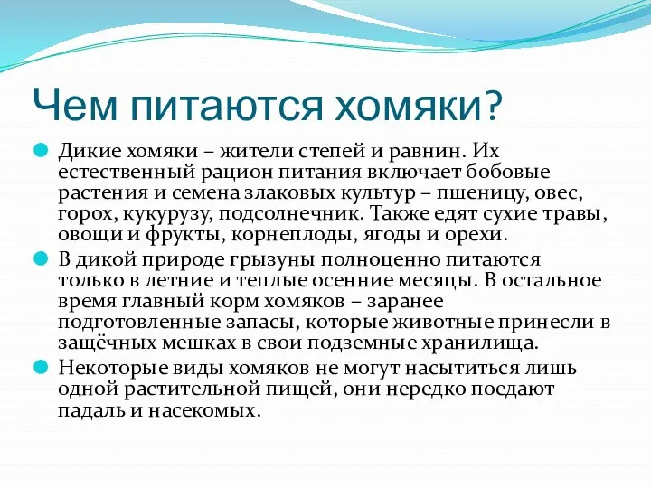 Чем питаются хомяки? Дикие хомяки – жители степей и равнин.