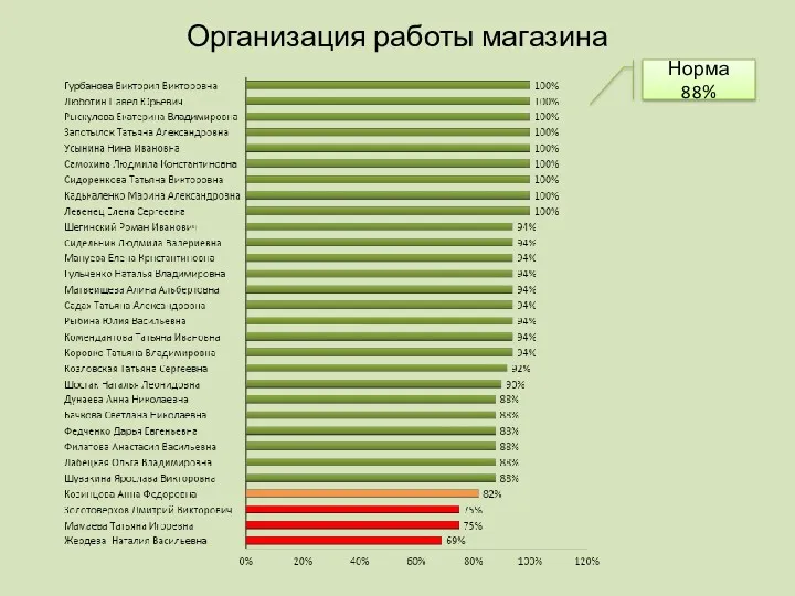 Организация работы магазина Норма 88%