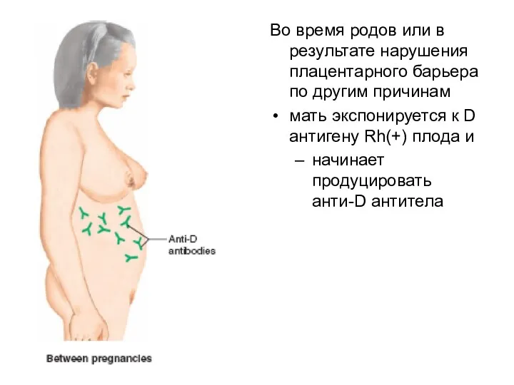 Во время родов или в результате нарушения плацентарного барьера по
