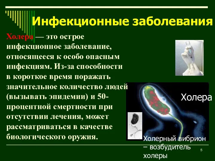 Инфекционные заболевания Холера — это острое инфекционное заболевание, относящееся к