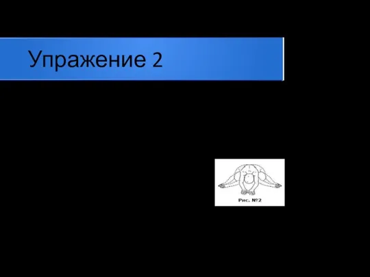 Упражение 2 Исходная позиция — на четвереньках. Не разгибаясь, сядьте