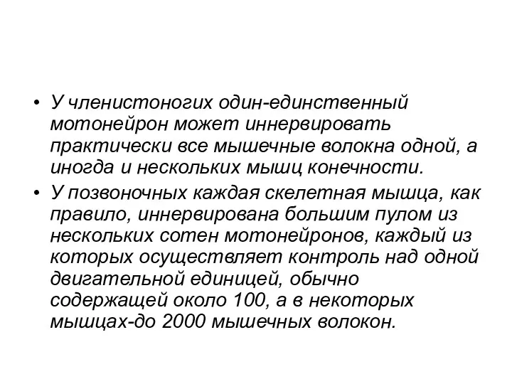 У членистоногих один-единственный мотонейрон может иннервировать практически все мышечные волокна