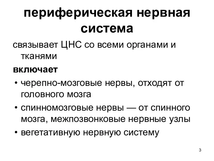 периферическая нервная система связывает ЦНС со всеми органами и тканями