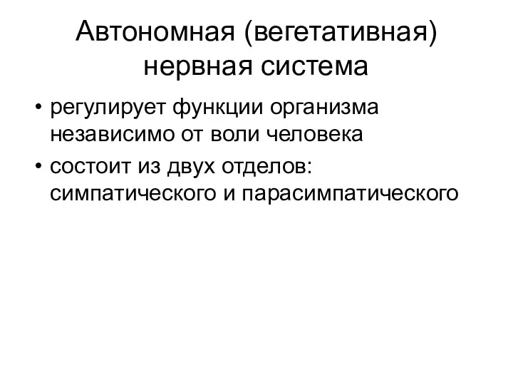 Автономная (вегетативная) нервная система регулирует функции организма независимо от воли