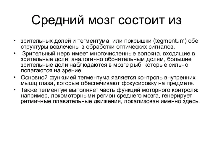 Средний мозг состоит из зрительных долей и тегментума, или покрышки