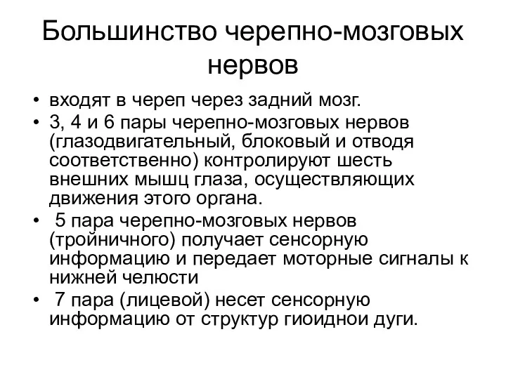 Большинство черепно-мозговых нервов входят в череп через задний мозг. 3,