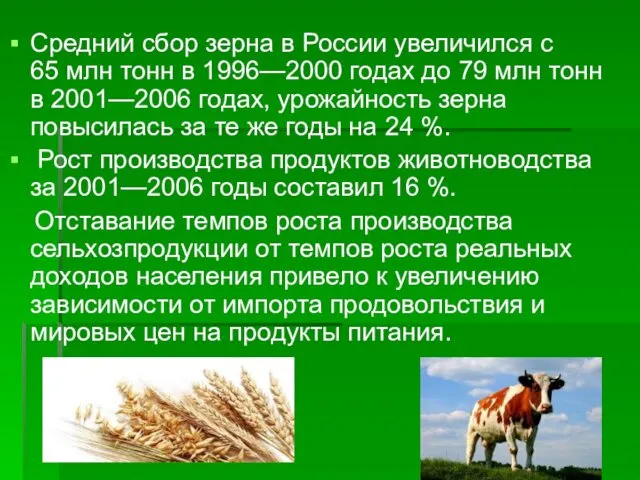 Средний сбор зерна в России увеличился с 65 млн тонн