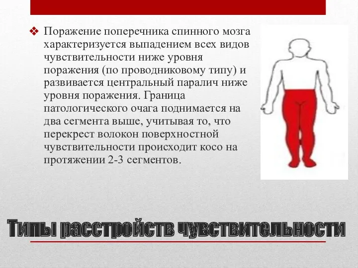 Типы расстройств чувствительности Поражение поперечника спинного мозга характеризуется выпадением всех