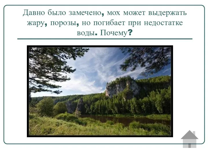 Давно было замечено, мох может выдержать жару, порозы, но погибает при недостатке воды. Почему?