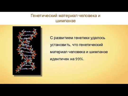 С развитием генетики удалось установить, что генетический материал человека и