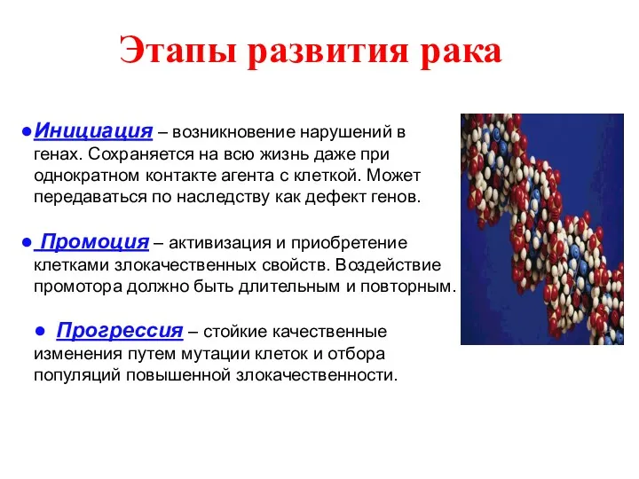 Этапы развития рака Инициация – возникновение нарушений в генах. Сохраняется