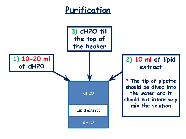 Purification Lipid extract 1) 10-20 ml of dH20 3) dH2O