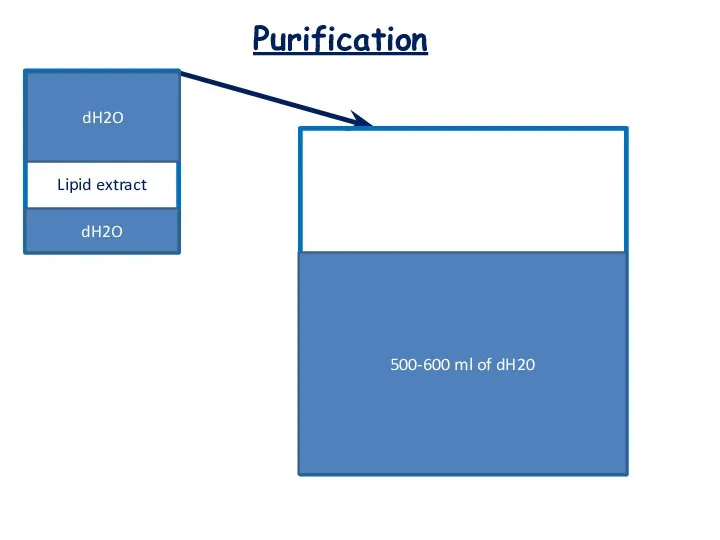 Purification 500-600 ml of dH20