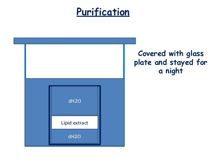 Purification Lipid extract Covered with glass plate and stayed for a night