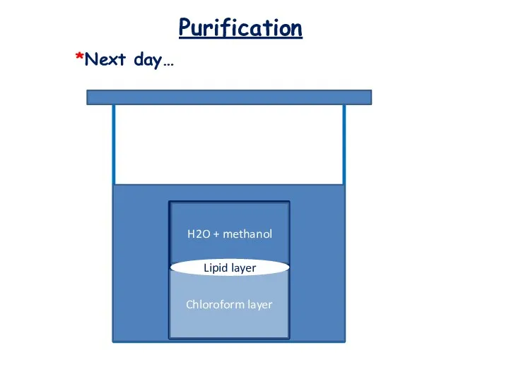 Purification *Next day… Chloroform layer Lipid layer