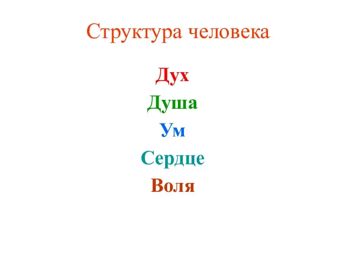 Структура человека Дух Душа Ум Сердце Воля