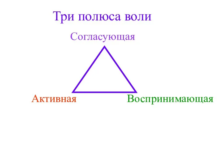 Три полюса воли Согласующая Активная Воспринимающая