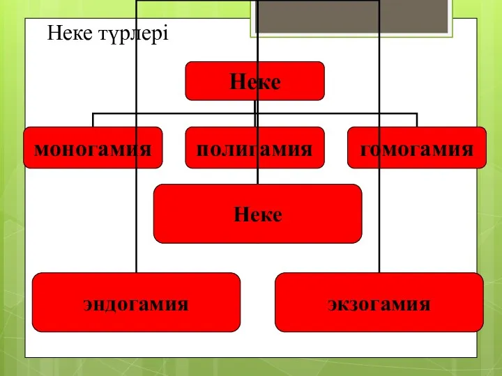 Неке түрлері