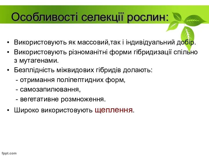 Особливості селекції рослин: Використовують як массовий,так і індивідуальний добір. Використовують