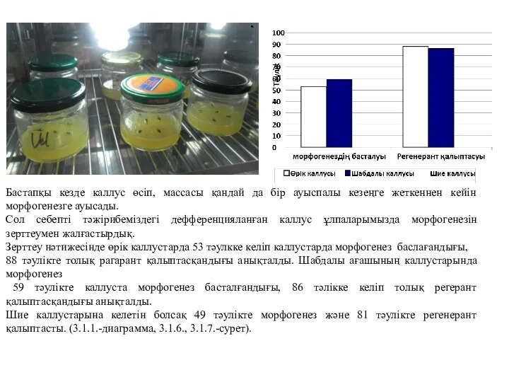 Бастапқы кезде каллус өсіп, массасы қандай да бір ауыспалы кезеңге