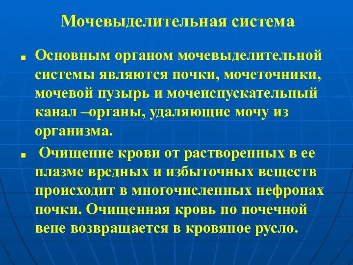 Мочевыделительная система Основным органом мочевыделительной системы являются почки, мочеточники, мочевой