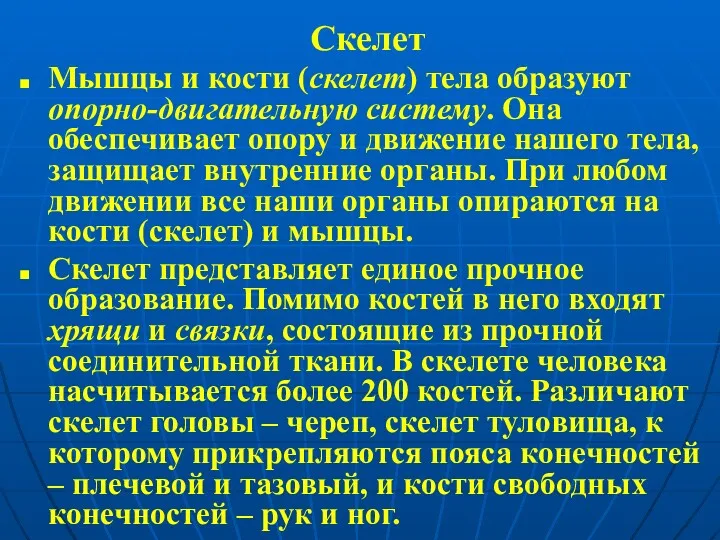 Скелет Мышцы и кости (скелет) тела образуют опорно-двигательную систему. Она