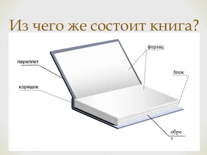 Из чего же состоит книга? обрез