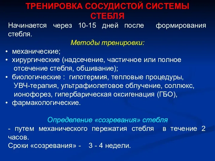 ТРЕНИРОВКА СОСУДИСТОЙ СИСТЕМЫ СТЕБЛЯ Начинается через 10-15 дней после формирования