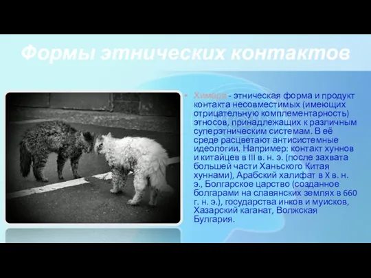 Формы этнических контактов Химера - этническая форма и продукт контакта