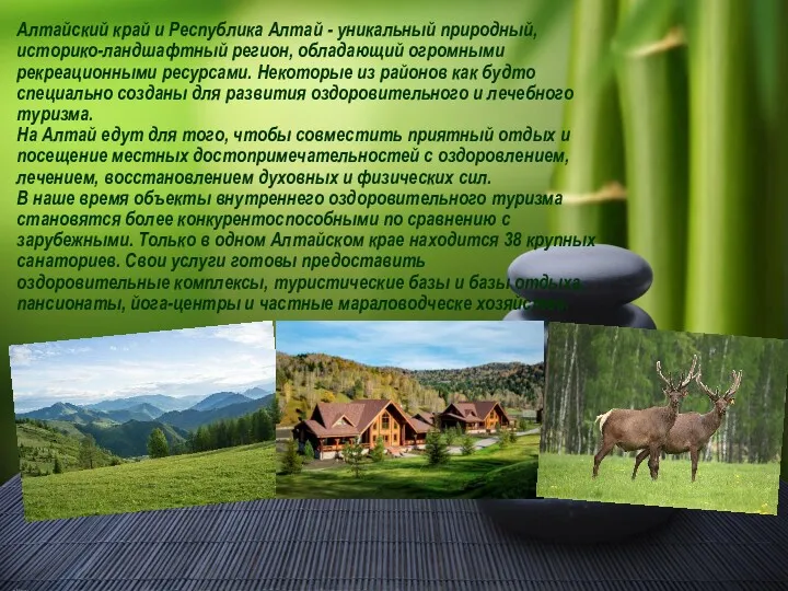 Алтайский край и Республика Алтай - уникальный природный, историко-ландшафтный регион,