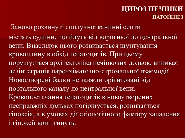 Заново розвинуті сполучнотканинні септи містять судини, що йдуть від воротньої