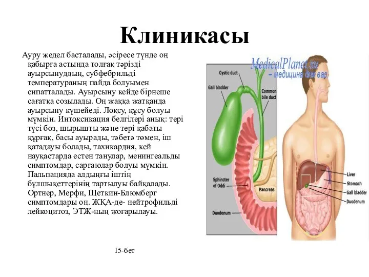 Клиникасы Ауру жедел басталады, әсіресе түнде оң қабырға астында толғақ