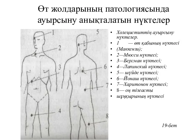 Өт жолдарының патологиясында ауырсыну анықталатын нүктелер Холециститтің ауырсыну нүктелер. 1