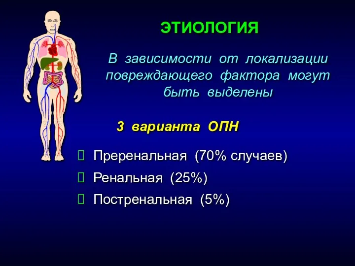 Преренальная (70% случаев) Ренальная (25%) Постренальная (5%) ЭТИОЛОГИЯ В зависимости от локализации повреждающего