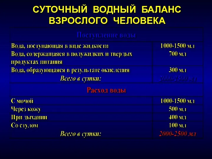 СУТОЧНЫЙ ВОДНЫЙ БАЛАНС ВЗРОСЛОГО ЧЕЛОВЕКА