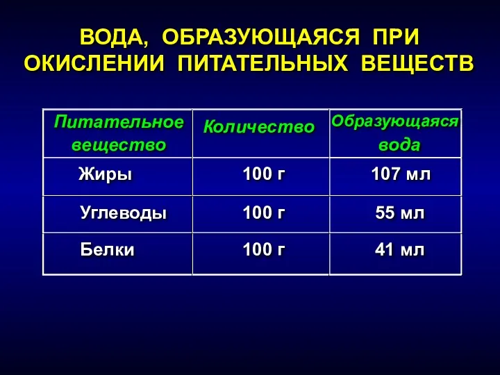 ВОДА, ОБРАЗУЮЩАЯСЯ ПРИ ОКИСЛЕНИИ ПИТАТЕЛЬНЫХ ВЕЩЕСТВ Питательное вещество Количество Образующаяся