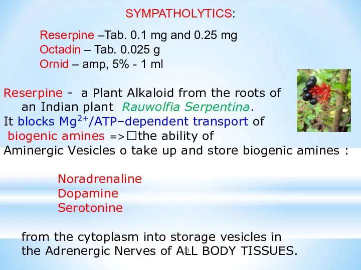 SYMPATHOLYTICS: Reserpine –Tab. 0.1 mg and 0.25 mg Octadin –