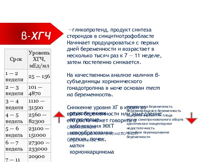 СПРАВКА β-ХГЧ —гликопротеид, продукт синтеза стероидов в синцитиотрофобласте Начинает продуцироваться