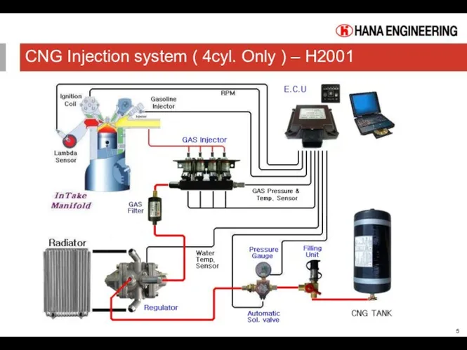 CNG Injection system ( 4cyl. Only ) – H2001