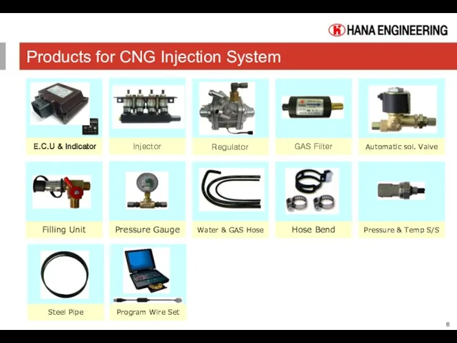 Products for CNG Injection System